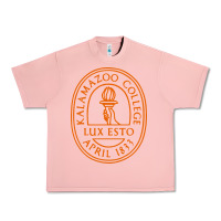 Salmon Kalamazoo College Urban Heavy Tee - artisFamous