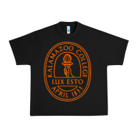 Black Kalamazoo College Urban Heavy Tee - artisFamous
