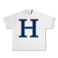 Lunar Rock Hillsdale College Urban Heavy Tee - artisFamous
