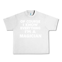 Lunar Rock i know everything i'm a magician Urban Heavy Tee - artisFamous