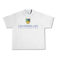 Lunar Rock Chamberlain College Urban Heavy Tee - artisFamous