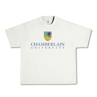Pistachio Chamberlain College Urban Heavy Tee - artisFamous