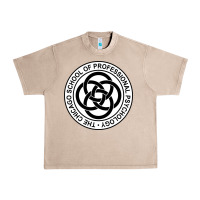 French Oak The Chicago School of Professional Psychology Urban Heavy Tee - artisFamous