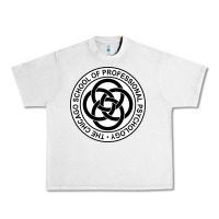 Lunar Rock The Chicago School of Professional Psychology Urban Heavy Tee - artisFamous