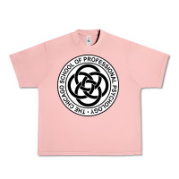 Salmon The Chicago School of Professional Psychology Urban Heavy Tee - artisFamous