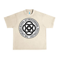 Sandshell The Chicago School of Professional Psychology Urban Heavy Tee - artisFamous