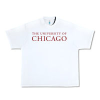 White College of Chicago Urban Heavy Tee - artisFamous