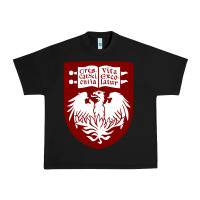 Black College of Chicago Urban Heavy Tee - artisFamous