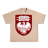 Burro College of Chicago Urban Heavy Tee - artisFamous