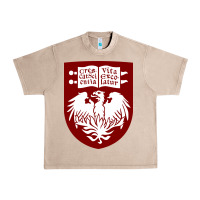 French Oak College of Chicago Urban Heavy Tee - artisFamous