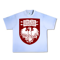 Grape Ice College of Chicago Urban Heavy Tee - artisFamous