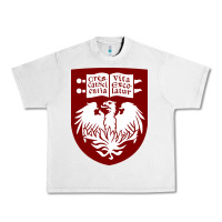Lunar Rock College of Chicago Urban Heavy Tee - artisFamous