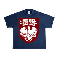 Navy College of Chicago Urban Heavy Tee - artisFamous