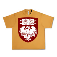 Peanut Butter College of Chicago Urban Heavy Tee - artisFamous