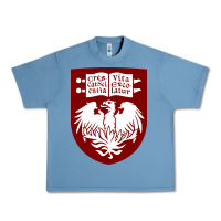 Pebble Blue College of Chicago Urban Heavy Tee - artisFamous