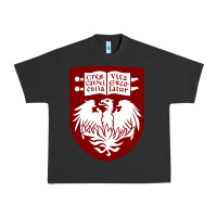 Pigment Black College of Chicago Urban Heavy Tee - artisFamous