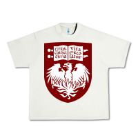 College Of Chicago Urban Heavy Tee | Teevron