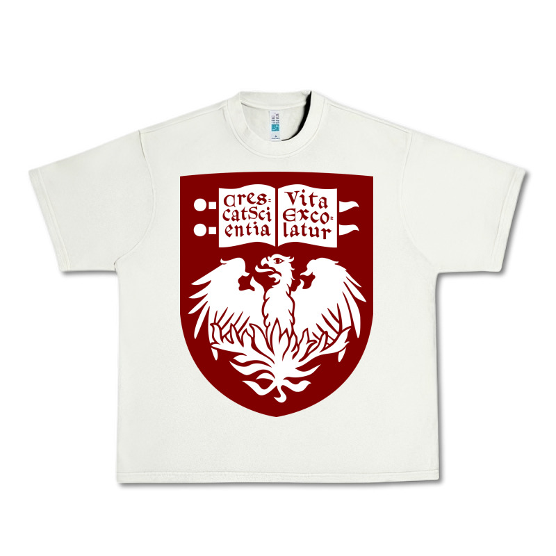 College Of Chicago Urban Heavy Tee by artisFamous | Teevron