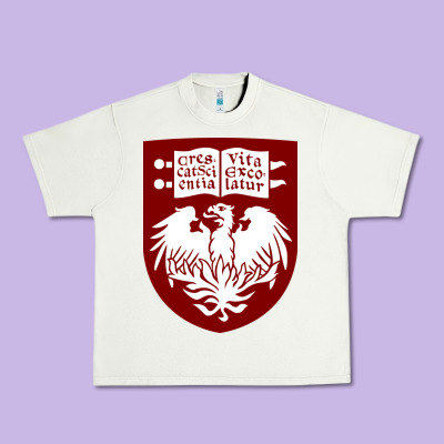 College Of Chicago Urban Heavy Tee Designed By Artisfamous