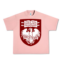 Salmon College of Chicago Urban Heavy Tee - artisFamous