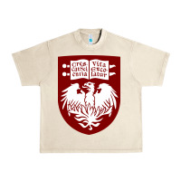 Sandshell College of Chicago Urban Heavy Tee - artisFamous