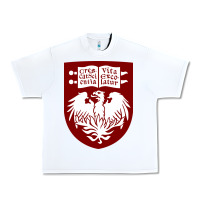 White College of Chicago Urban Heavy Tee - artisFamous