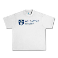 Lunar Rock Wheaton College (Illinois) Urban Heavy Tee - artisFamous