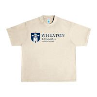 Sandshell Wheaton College (Illinois) Urban Heavy Tee - artisFamous