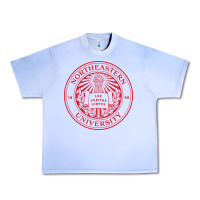 Grape Ice northeastern university Urban Heavy Tee - artisFamous