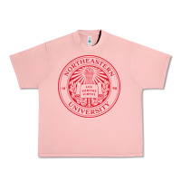 Salmon northeastern university Urban Heavy Tee - artisFamous