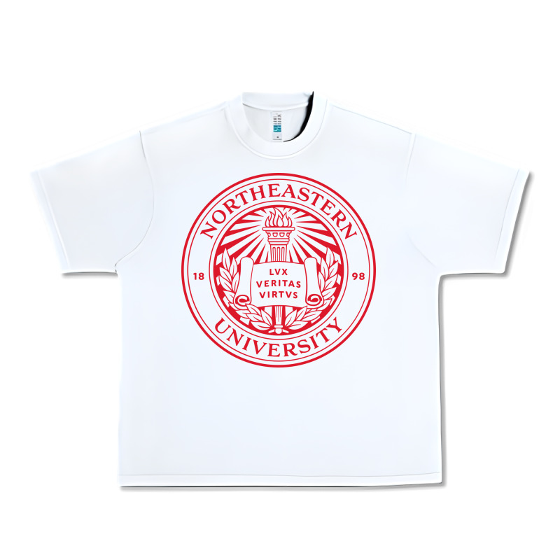 Northeastern University Urban Heavy Tee by artisFamous | Teevron