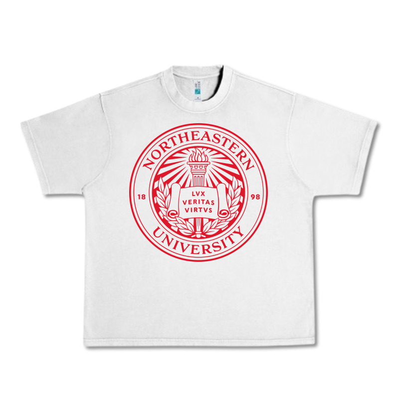 Northeastern University Urban Heavy Tee by artisFamous | Teevron