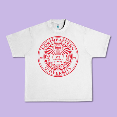 Northeastern University Urban Heavy Tee Designed By Artisfamous