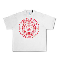 Lunar Rock northeastern university Urban Heavy Tee - artisFamous