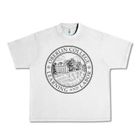 Lunar Rock oberlin college, oberlin, oh, Urban Heavy Tee - artisFamous