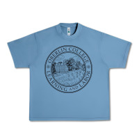 Pebble Blue oberlin college, oberlin, oh, Urban Heavy Tee - artisFamous