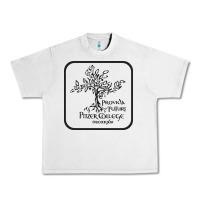 Lunar Rock pitzer college seal, cali Urban Heavy Tee - artisFamous