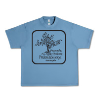 Pebble Blue pitzer college seal, cali Urban Heavy Tee - artisFamous