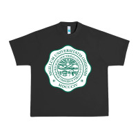 Pigment Black ohio university Urban Heavy Tee - artisFamous