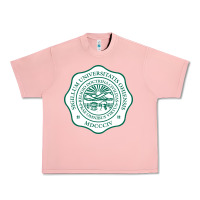 Salmon ohio university Urban Heavy Tee - artisFamous