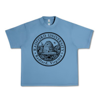 Pebble Blue radford university Urban Heavy Tee - artisFamous
