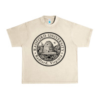 Sandshell radford university Urban Heavy Tee - artisFamous