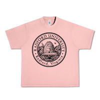 Salmon radford university Urban Heavy Tee - artisFamous