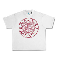 Lunar Rock seal bates college Urban Heavy Tee - artisFamous
