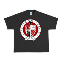 Pigment Black seattle university Urban Heavy Tee - artisFamous