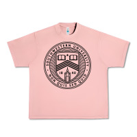 Salmon southwestern university Urban Heavy Tee - artisFamous