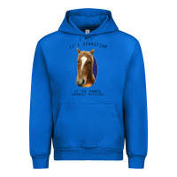 Cobalt I met lil Sebastian Urban Hoodie - Bettercallsaul