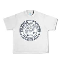 Lunar Rock university of illinois Urban Heavy Tee - artisFamous