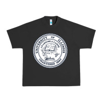 Pigment Black university of illinois Urban Heavy Tee - artisFamous