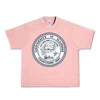 Salmon university of illinois Urban Heavy Tee - artisFamous